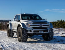 Ford F-150 Arctic Trucks