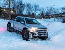 Ford F-150 Arctic Trucks