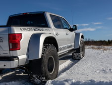 Ford F-150 Arctic Trucks