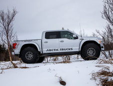 Ford F-150 Arctic Trucks