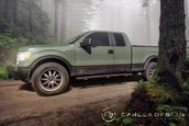 Ford F-150 by Carlex Design