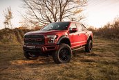 Ford F-150 Raptor by GeigerCars