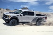 Ford F-150 Raptor R