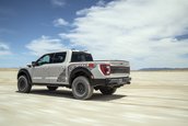 Ford F-150 Raptor R