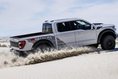 Ford F-150 Raptor R