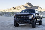 Ford F-150 Raptor R