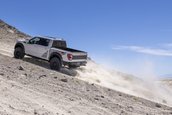 Ford F-150 Raptor R