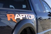 Ford F-150 Raptor R