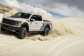 Ford F-150 Raptor R