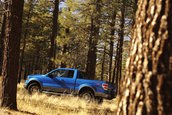 Ford F-150 se mentine in top