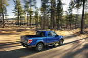 Ford F-150 se mentine in top