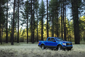 Ford F-150 se mentine in top