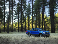 Ford F-150 se mentine in top