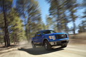 Ford F-150 se mentine in top