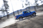 Ford F-150 se mentine in top