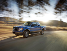 Ford F-150 se mentine in top