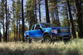 Ford F-150 se mentine in top