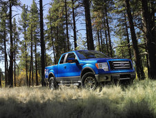 Ford F-150 se mentine in top