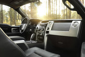 Ford F-150 se mentine in top