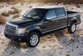 Ford F-150 se mentine in top
