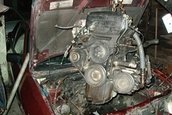 Ford Festiva