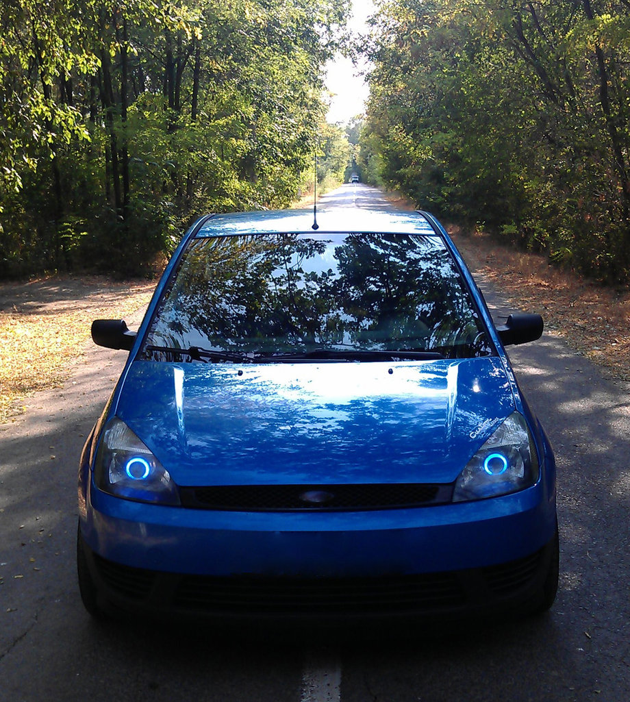 Ford Fiesta Blue Devil