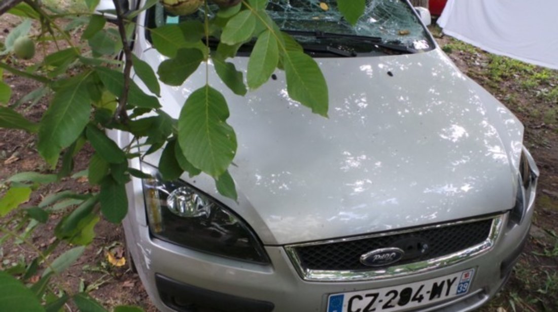 Ford Focus 1.6i Clima 2005