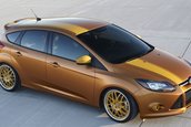 Ford Focus tuning