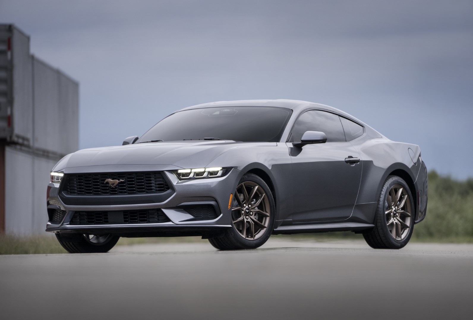 Poze Masini Noi Ford Mustang 2024 699334
