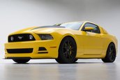 Ford Mustang by Vortech