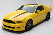 Ford Mustang by Vortech