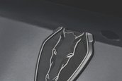 Ford Mustang Dark Horse - Versiunea europeana