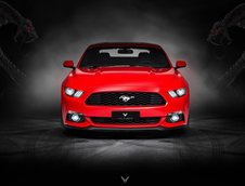 Ford Mustang de la Vilner