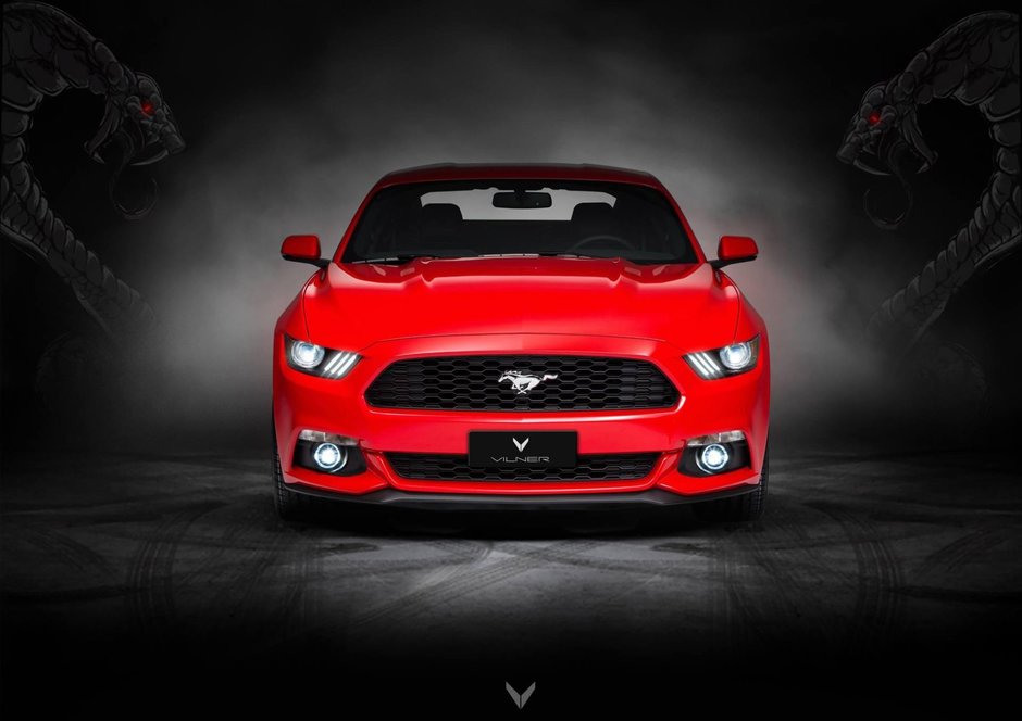 Ford Mustang de la Vilner