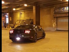 Ford Mustang GT Bullit