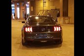 Ford Mustang GT Bullit