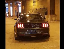 Ford Mustang GT Bullit