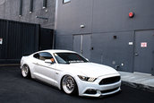 Ford Mustang GT lasat pe burta