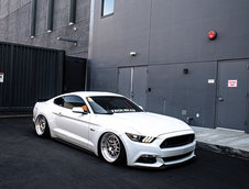 Ford Mustang GT lasat pe burta