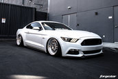 Ford Mustang GT lasat pe burta