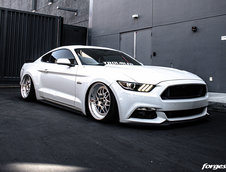 Ford Mustang GT lasat pe burta