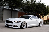 Ford Mustang GT lasat pe burta