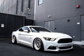 Ford Mustang GT lasat pe burta