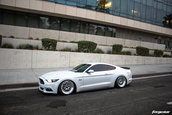 Ford Mustang GT lasat pe burta