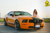 Ford Mustang GT Supercharged by Mihai