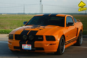 Ford Mustang GT Supercharged by Mihai