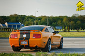 Ford Mustang GT Supercharged by Mihai