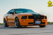 Ford Mustang GT Supercharged by Mihai