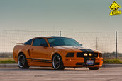 Ford Mustang GT Supercharged by Mihai