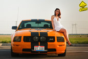 Ford Mustang GT Supercharged by Mihai